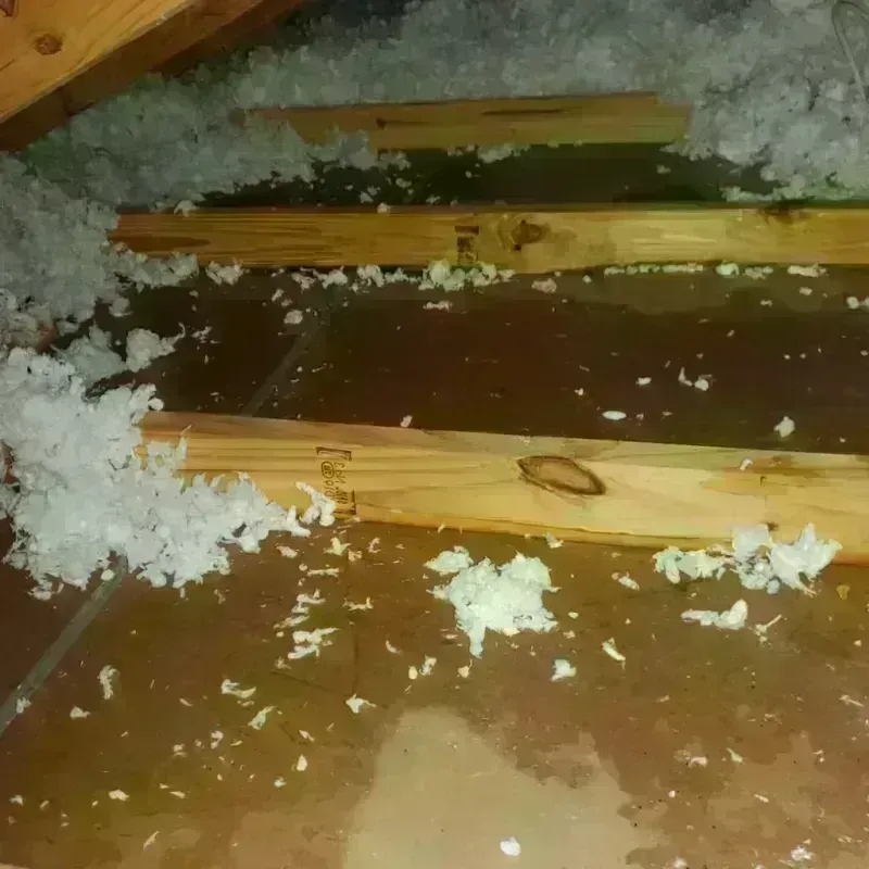 Attic Water Damage in Riverside, CA